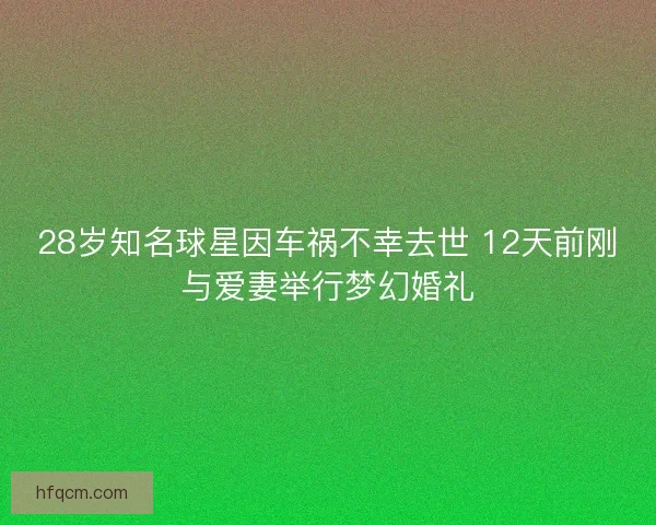 28岁知名球星因车祸不幸去世 12天前刚与爱妻举行梦幻婚礼